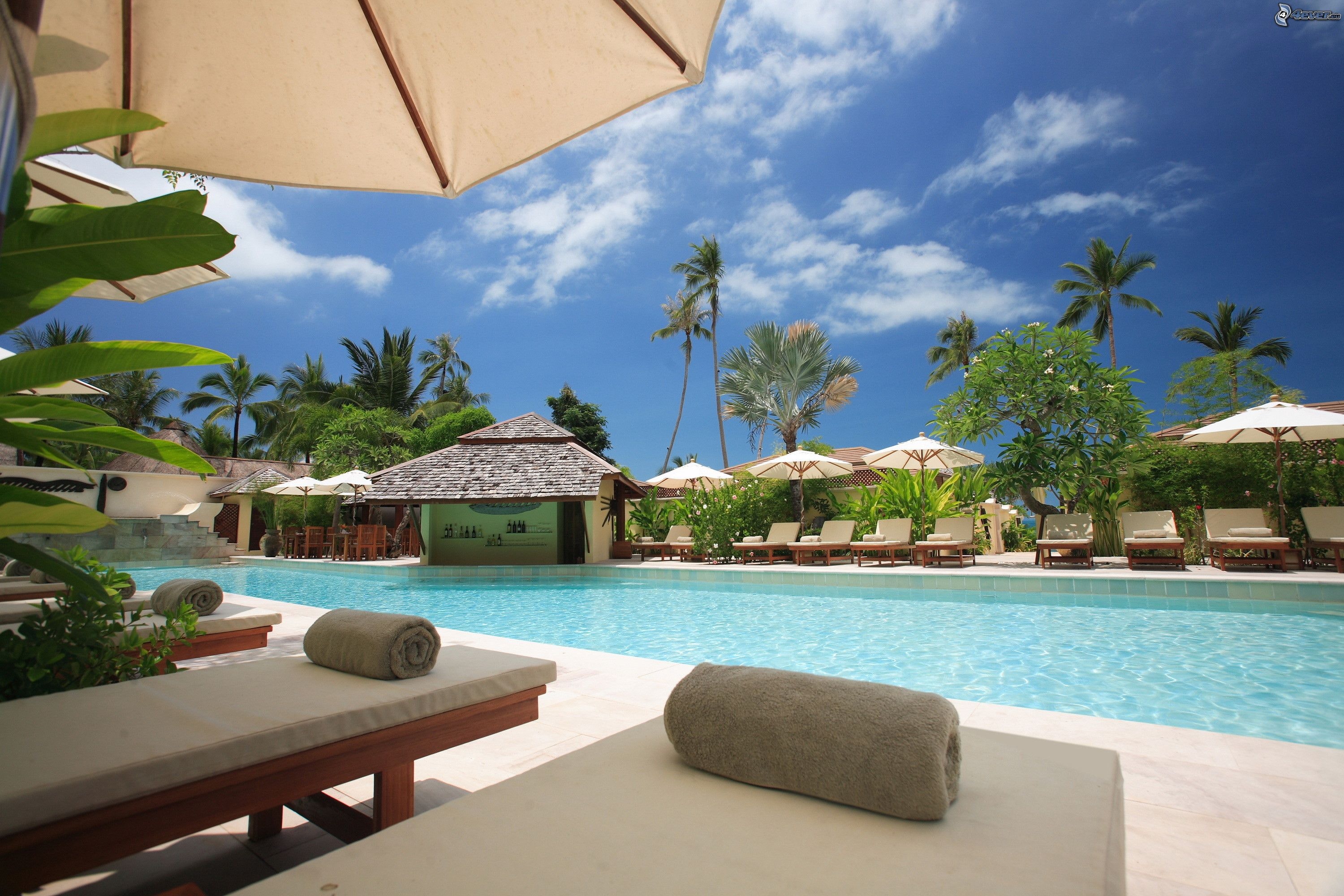 Outdoor pool area with lounge chairs, umbrellas, and a thatched-roof bar surrounded by palm trees under a blue sky.