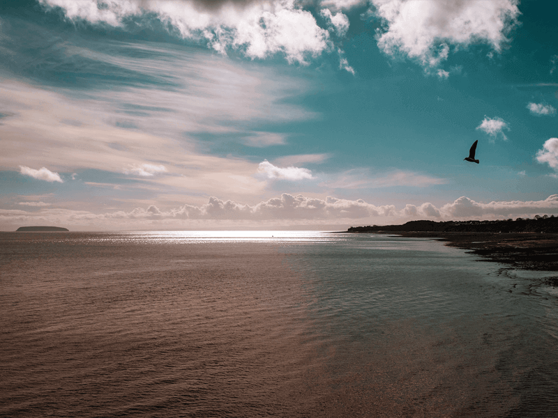 A tranquil ocean scene with a bird flying above the water and a distant shoreline under a partly cloudy sky.